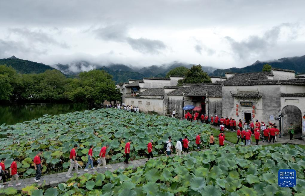 免费的捕鱼游戏